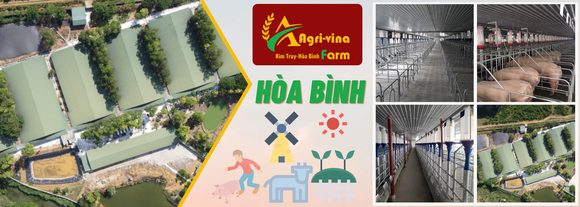 Agri-vina: Kim Truy - Hòa Bình