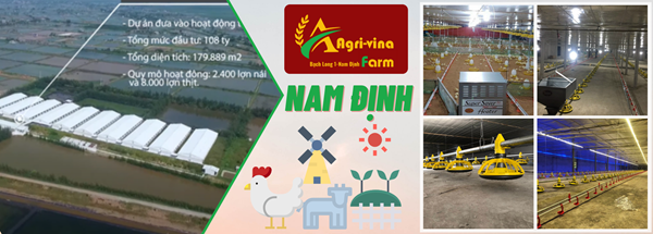 Kèo Nhà Cái Avinaa - Bí Quyết Soi Kèo Bách Chiến Bách Thắng