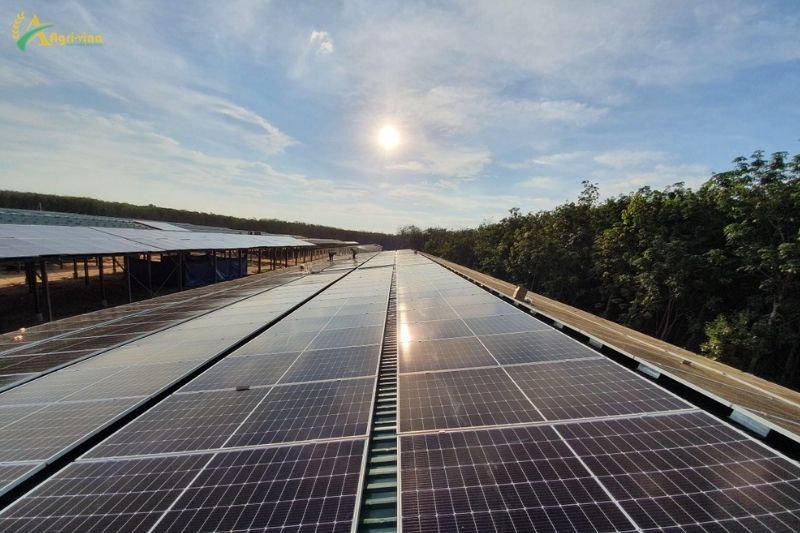 Dự Án Điện Năng Lượng Mặt Trời Áp Mái tại Xã Long Tân, Dầu Tiếng, Bình Dương